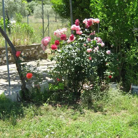 Venetia דירה *